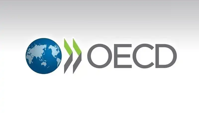 OECD, Türkiye'nin Ekonomik Büyüme Tahminini Revize Etti