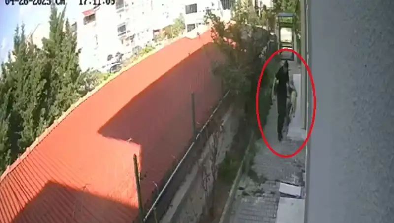 Hayvanları Koruma Yasası Kapsamında Doktorun Şok Edici Suçlamaları