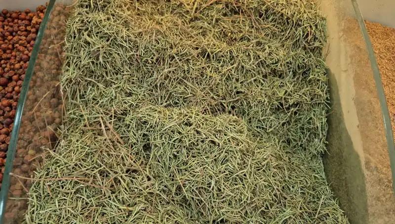 Yaz Aylarında İnternette Satılan Tehlikeli Ürünler: Ölüme Götürebilir Mi?
