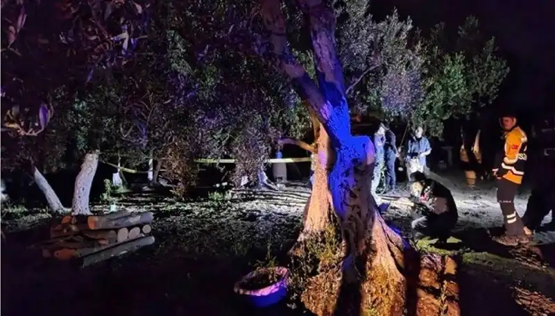 Çiftlikteki Baltalı Vahşet: Bir Kişi Tutuklandı!