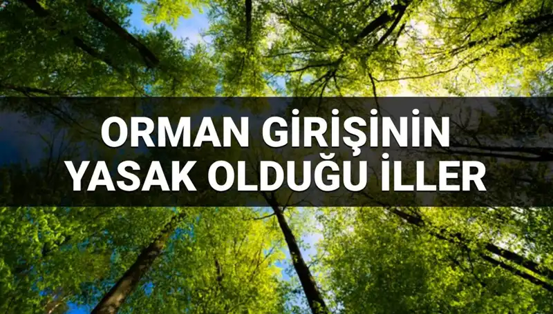 2025'te Ormana Girişi Yasaklanan İllerin Listesi Açıklandı
