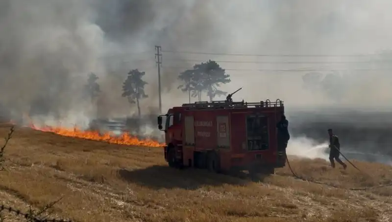 Kırklareli'nde Korkutan Anız Yangını: Hayvanlar ve Tarım Arazileri Tehlikede