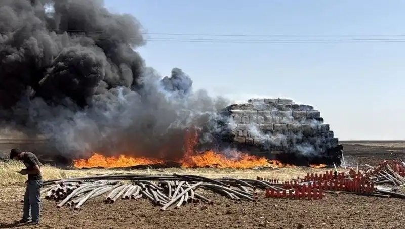 Mardin'de Dikkat Çeken Anız Yangını: Tarım Arazileri Tehlikede!