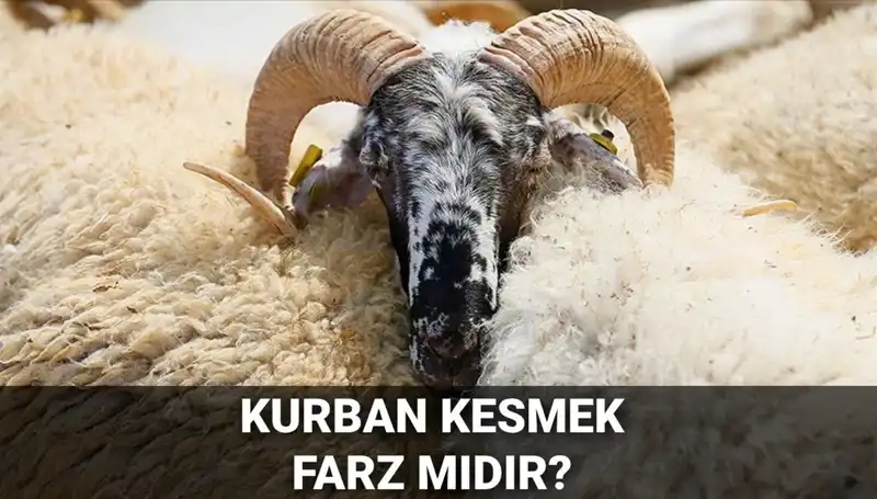 Kurban Kesmek Farz mı? Diyanet'in Açıklamaları ve Şartları
