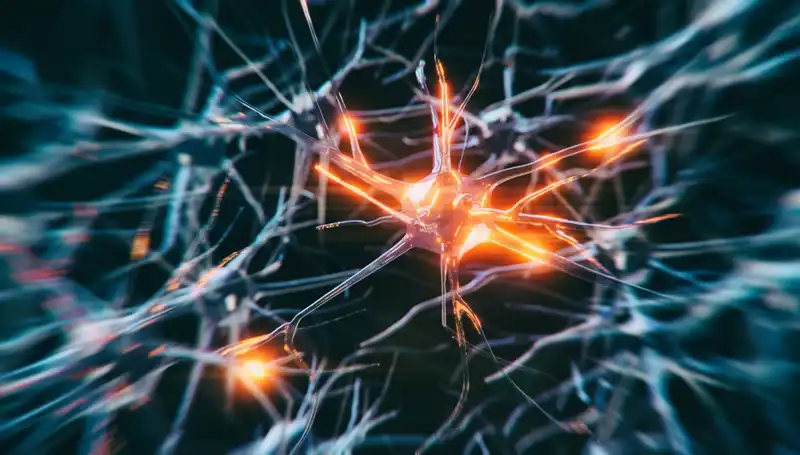 Alzheimer Vakalarının Artış Sebepleri: Bilimsel Gözlemler ve Çözüm Yolları