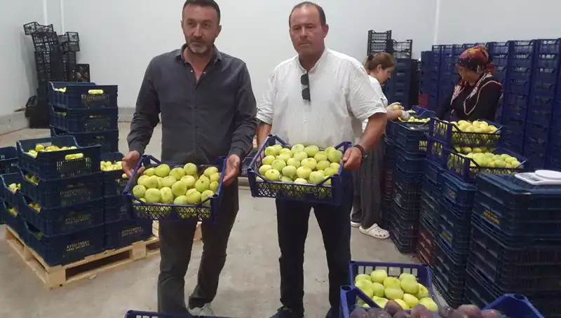 Mersinli Çiftçinin Yüzünü Güldüren Tarım Ürünü: Tanesi 20 TL'den İhraç Ediliyor