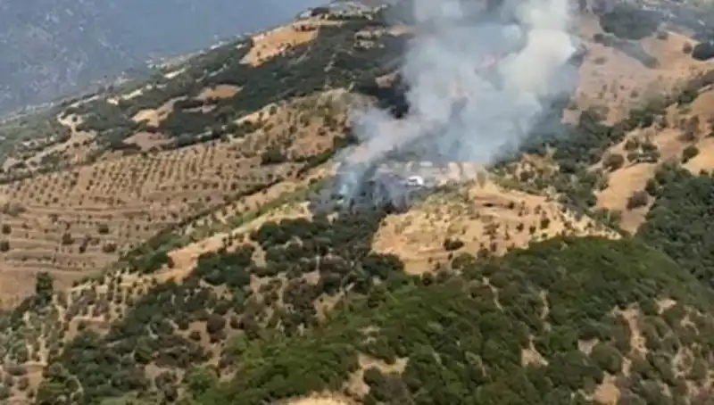 Aydın'daki Zeytinlik Yangını, Tarım Üzerinde Ciddi Etkilere Yol Açtı