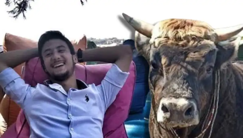 Aydın'da Güreş Boğası Saldırısı: Bir Hayat Gitti, Sokaklar Kan Gölüne Döndü