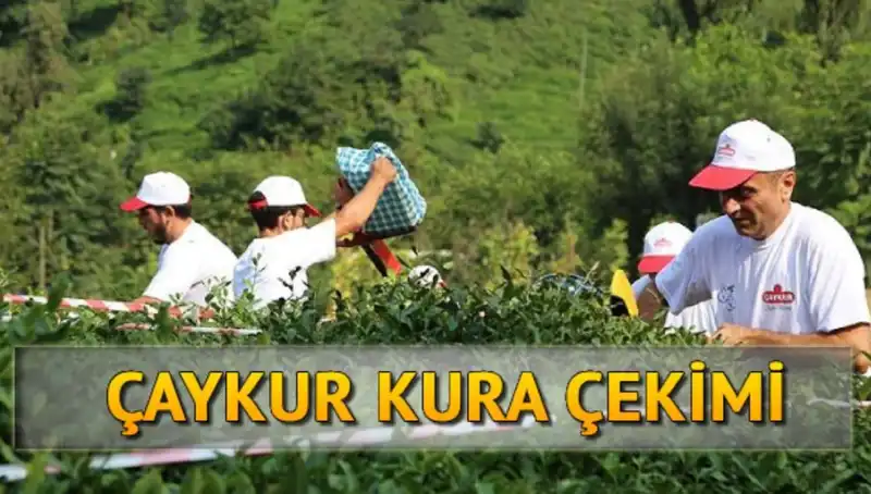 Çaykur Canlı Kura Sayfası: Nasıl Erişilir ve İsim Listesi Nasıl Öğrenilir?