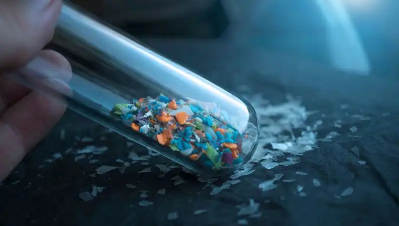 İnsan Sağlığında Yeni Tehlike: Mikroplastikler Beyin Üzerinde Etkili Oluyor