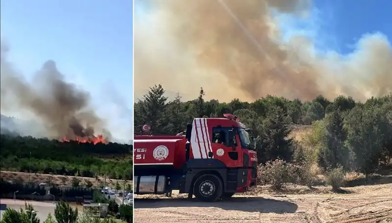Gebze'de Orman Yangını: Doğaya ve Yerleşim Alanlarına Tehdit!