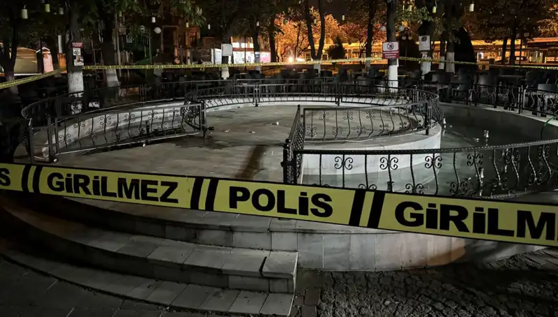 Kırklareli'nde Süs Havuzunda Tehlikeli Olay: Dört Kişi Hastanelik Oldu