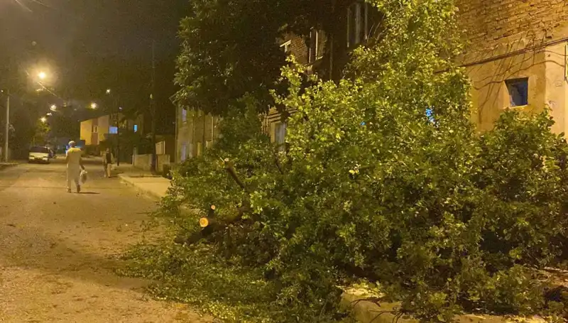 Karabük'te Şiddetli Fırtına: Can ve Mal Kaybı Yaşandı