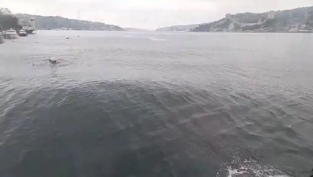 İstanbul Boğazı'nda Dalgalar Yükseliyor! Nedenleri ve Etkileri Üzerine Detaylı Analiz