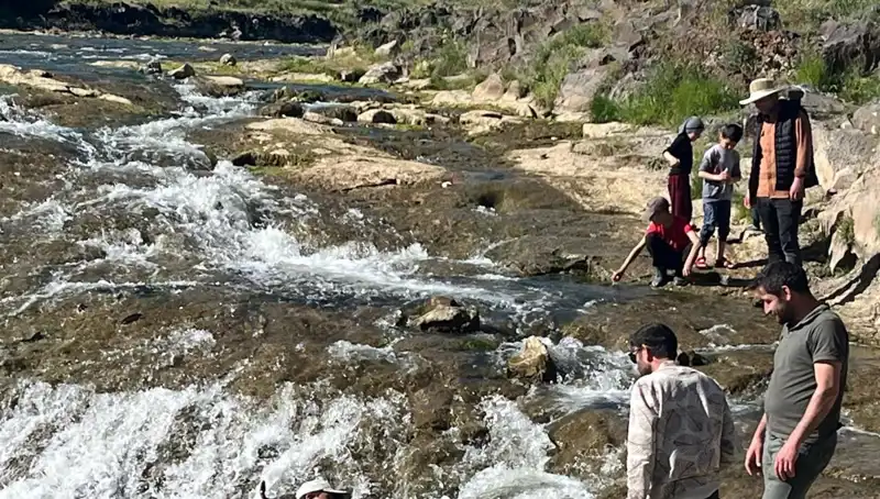 İnci Kefalinin Büyüleyici Göçü: Binlerce Kilometre Uzaklıktan Gelen Ziyaretçiler