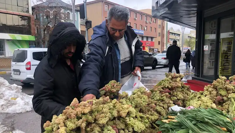 Kendiliğinden Yetişen Vitamin Deposunun Sağlığa Faydaları ve Kanserle Mücadelede Önemi